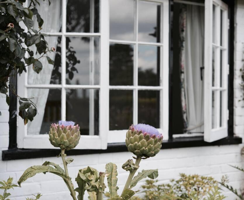 Highfield Lodge Tring Kültér fotó